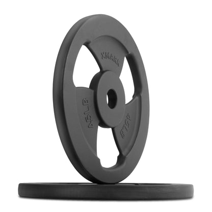 Iron Horse Premium Cast Iron Olympic Weight Plate Pairs and Sets